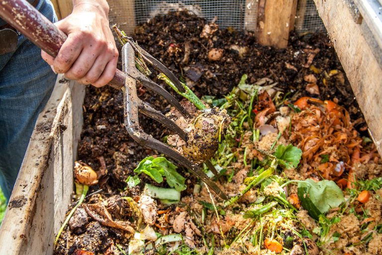 Turning vegetable scraps into compost